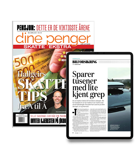 Dine Penger sin produktbilde